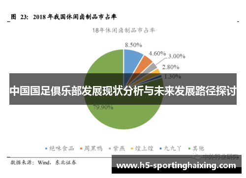 中国国足俱乐部发展现状分析与未来发展路径探讨